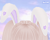 w. Bunny Ears Lilac