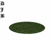 Round Patch of Grass