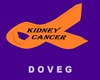 Kidney Cancer Ribbon