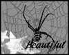 [b]Spider Web