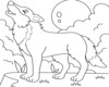 -wolf coloring page-