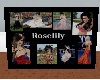 Roselily Slideshow