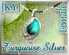 TurquoiseSilverNecklace