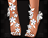 ❥ - Flowers Feet