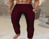 [L] Winter Pants V1