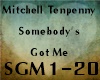 [BM]MitchellTP.Somebody
