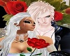 Nestitude & loruie