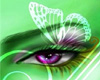 green butterfly eye