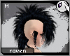~Dc) Raven Mortis  [m]
