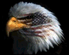 {kb} American Eagle
