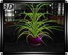 .3D. Derivable Plant R.