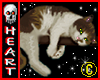 Kitty Sticker V1
