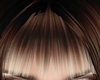 Brown Ombre Bangs Add