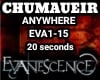 Evanescence-Anywhere