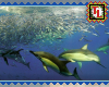Dolphins stamp