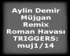 Aylin Demir Mujgan Rmx