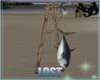 A3D* Hanging Fish