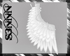 S3N - Angel Wings