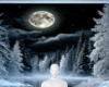 Winter night background