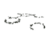 Tropic Island Plants