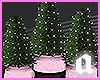 Potted mini trees pk