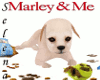 {S} Marley Pet Puppy Lab