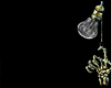 Z*S. Pin Bangs Addon B/G