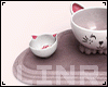 Bowls With Cat Ears