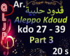QlJp_Ar_Aleppo Kdoud_P3