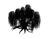 Willow Tree Black