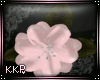 *KKP* Blossom Pink HB