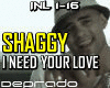 Shaggy I Need Your Love