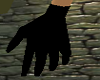 Back Gloves 4u