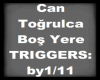 Can Togrulca Bos Yere