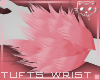 TuftsW Pink 3a Ⓚ