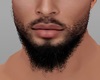 dp QTIGIN Beard