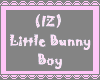 (IZ) Little Bunny Boy 
