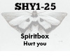 Spiritbox Hurt you