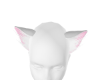 kitten ears | white