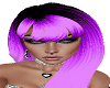 Patricia Purple Mix