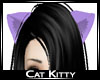 Kitty Cat
