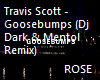 Goosebumps RMX