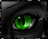 green cat eyes F