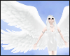 TFZ)Angel Wings /4 wings