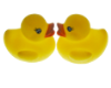 Love ducks