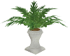 Tropical Potted Plant