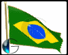 |IGI| Brazil Flag