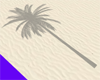 Shadow for Palm Tree 03