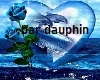 bar dauphin