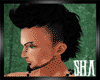 [SHA] Shatounet's Head
